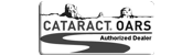Cataract Logo