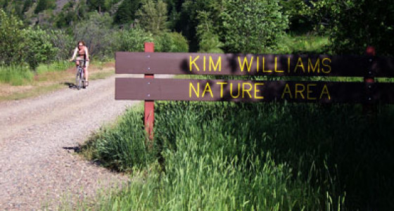Kim Williams, More Than A Trail Image