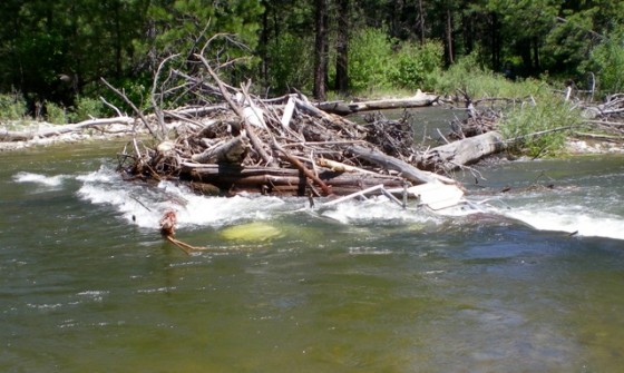raft on Rock Creek